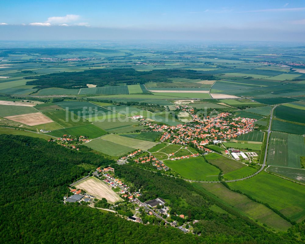 Stapelburg von oben - Stadtgebiet inmitten der Landwirtschaft in Stapelburg im Bundesland Sachsen-Anhalt, Deutschland