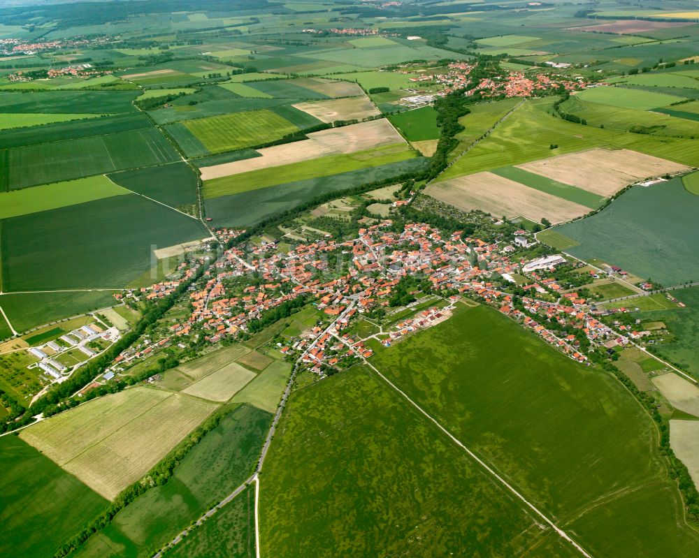 Veckenstedt von oben - Stadtgebiet inmitten der Landwirtschaft in Veckenstedt im Bundesland Sachsen-Anhalt, Deutschland