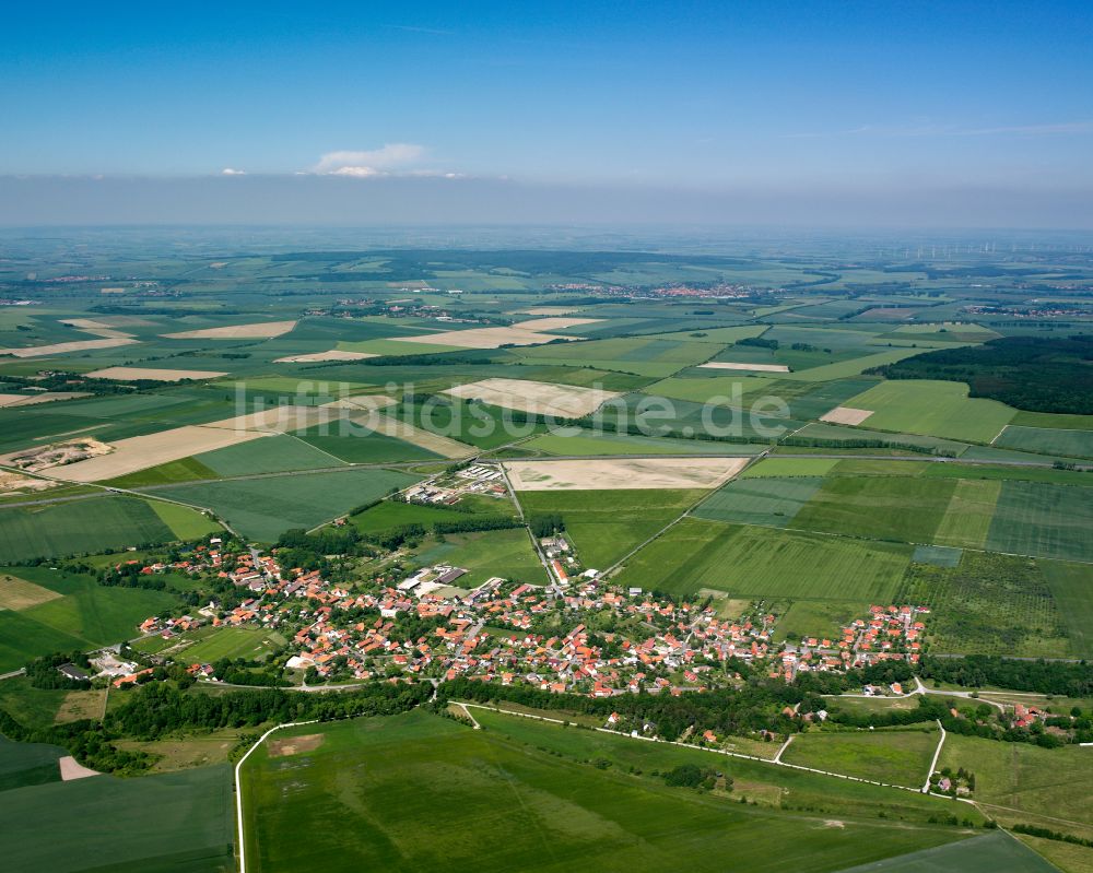 Vienenburg aus der Vogelperspektive: Stadtgebiet inmitten der Landwirtschaft in Vienenburg im Bundesland Sachsen-Anhalt, Deutschland