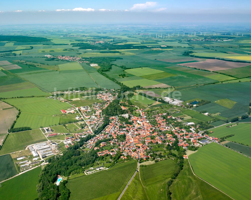 Luftaufnahme Wasserleben - Stadtgebiet inmitten der Landwirtschaft in Wasserleben im Bundesland Sachsen-Anhalt, Deutschland