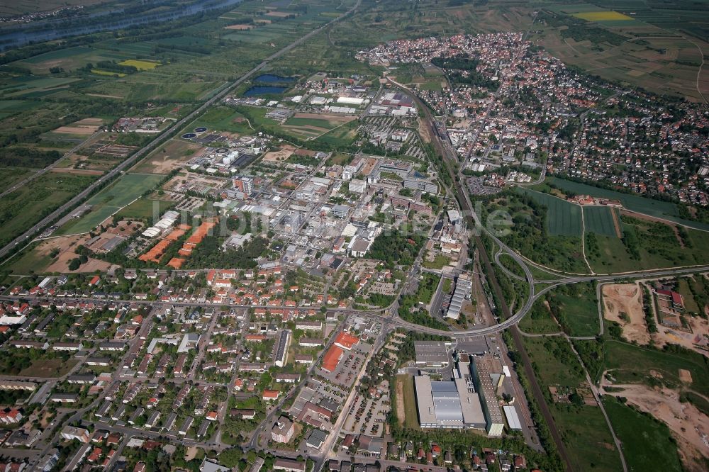 Ingelheim am Rhein aus der Vogelperspektive: Stadtkern in Ingelheim am Rhein im Bundesland Rheinland-Pfalz