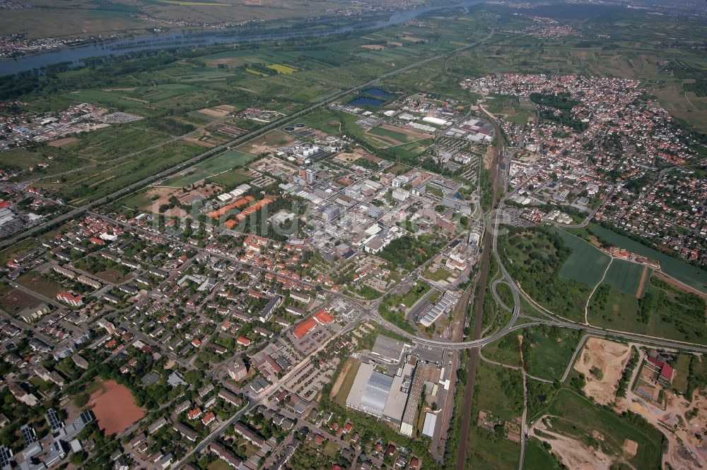 Luftaufnahme Ingelheim am Rhein - Stadtkern in Ingelheim am Rhein im Bundesland Rheinland-Pfalz