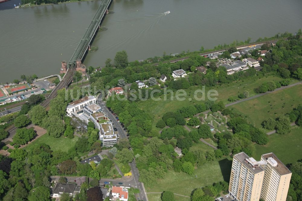 Luftaufnahme Mainz - Stadtpark im Volkspark Rosengarten in der Oberstadt in Mainz Rheinland-Pfalz