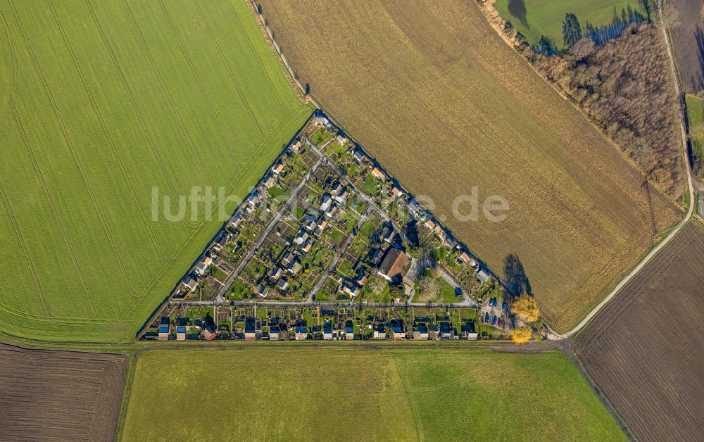 Luftbild Alstedde - Stadtrand und Außenbezirks- Wohngebiete in Dreiecks- Form in Alstedde im Bundesland Nordrhein-Westfalen, Deutschland