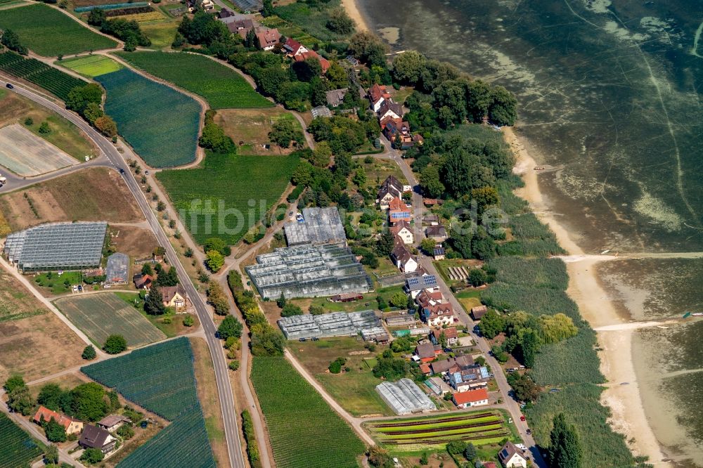 Reichenau aus der Vogelperspektive: Stadtrand und Außenbezirks- Wohngebiete entlang der Pirminstraße in Reichenau im Bundesland Baden-Württemberg, Deutschland