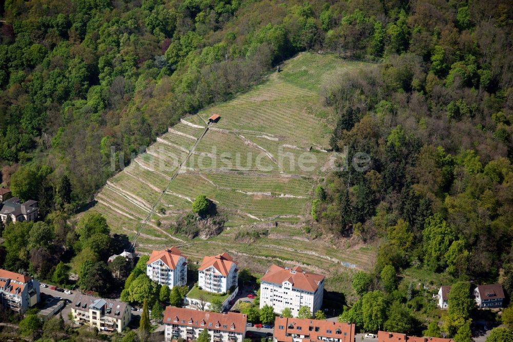 Freiburg im Breisgau aus der Vogelperspektive: Stadtrand und Außenbezirks- Wohngebiete in Freiburg im Breisgau im Bundesland Baden-Württemberg