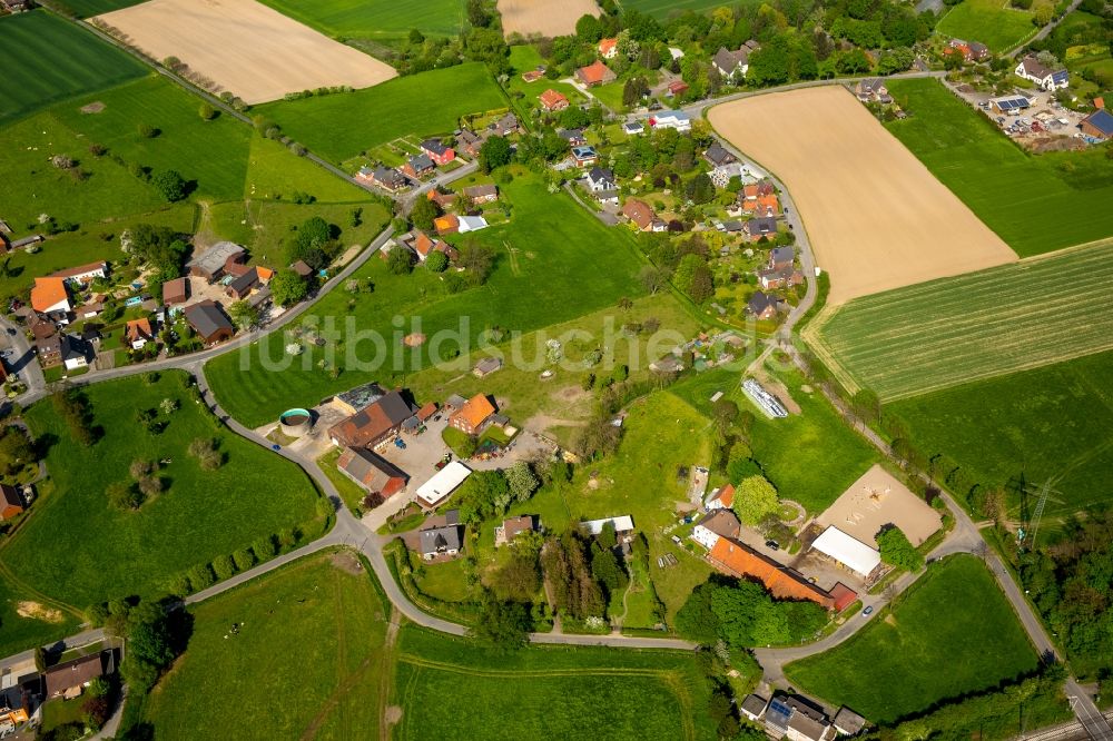 Hamm von oben - Stadtrand und Außenbezirks- Wohngebiete in Hamm im Bundesland Nordrhein-Westfalen