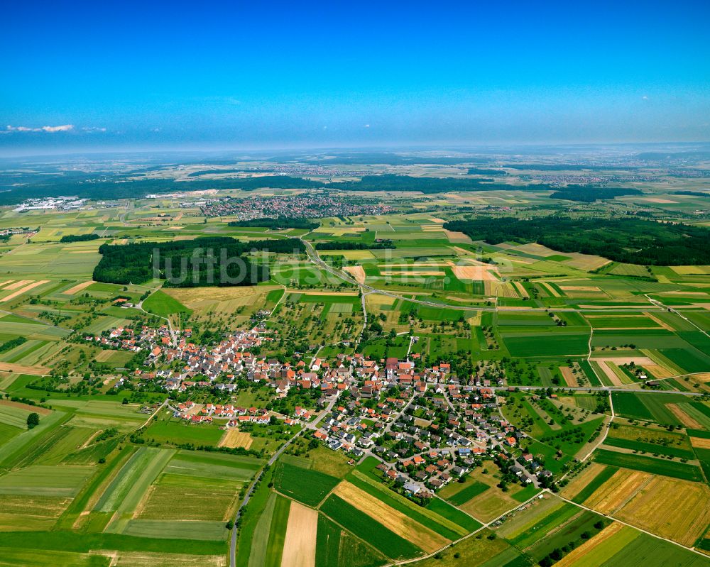 Luftaufnahme Baisingen - Stadtrand mit landwirtschaftlichen Feldern in Baisingen im Bundesland Baden-Württemberg, Deutschland