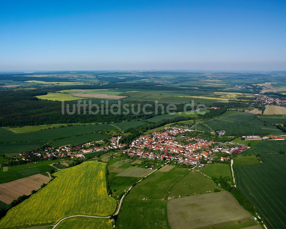 Büttstedt aus der Vogelperspektive: Stadtrand mit landwirtschaftlichen Feldern in Büttstedt im Bundesland Thüringen, Deutschland