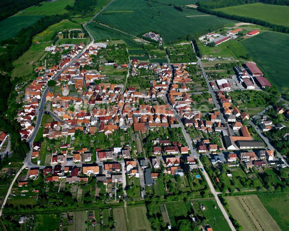 Luftbild Büttstedt - Stadtrand mit landwirtschaftlichen Feldern in Büttstedt im Bundesland Thüringen, Deutschland