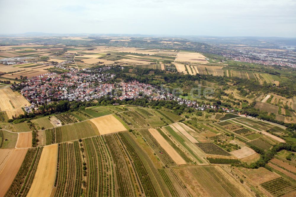Luftbild Wackernheim - Stadtrand mit landwirtschaftlichen Feldern des Stadtteils Ingelheim - Wackernheim in Wackernheim im Bundesland Rheinland-Pfalz, Deutschland