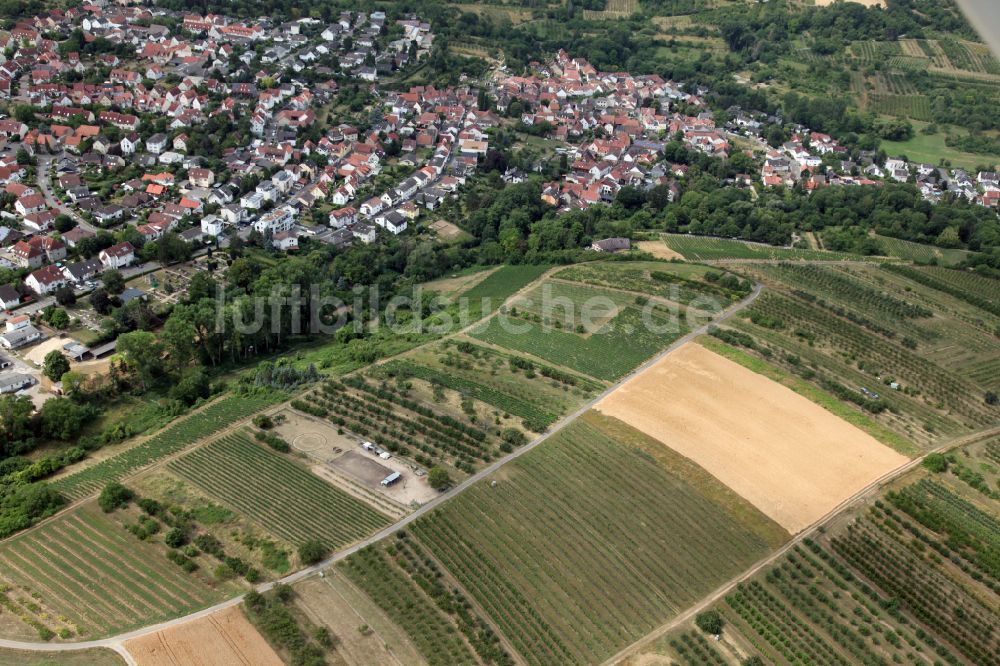 Luftaufnahme Wackernheim - Stadtrand mit landwirtschaftlichen Feldern des Stadtteils Ingelheim - Wackernheim in Wackernheim im Bundesland Rheinland-Pfalz, Deutschland