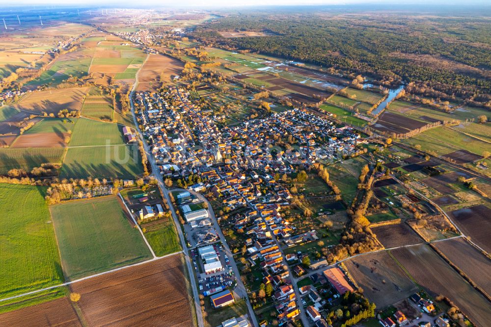 Steinfeld von oben - Stadtrand mit landwirtschaftlichen Feldern in Steinfeld im Bundesland Rheinland-Pfalz, Deutschland