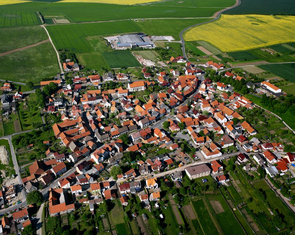 Luftaufnahme Wachstedt - Stadtrand mit landwirtschaftlichen Feldern in Wachstedt im Bundesland Thüringen, Deutschland