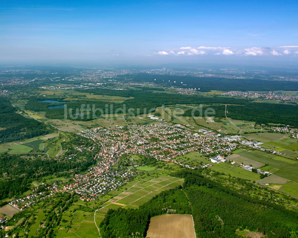 Weingarten (Baden) aus der Vogelperspektive: Stadtrand mit landwirtschaftlichen Feldern in Weingarten (Baden) im Bundesland Baden-Württemberg, Deutschland