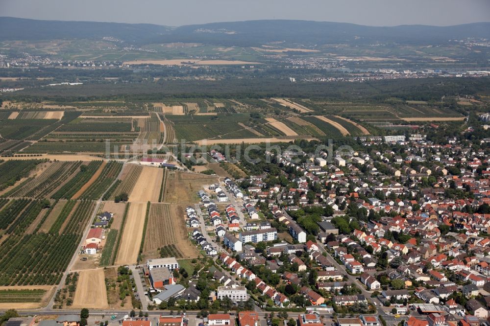 Luftaufnahme Mainz - Stadtteil Finthen im Stadtgebiet in Mainz im Bundesland Rheinland-Pfalz