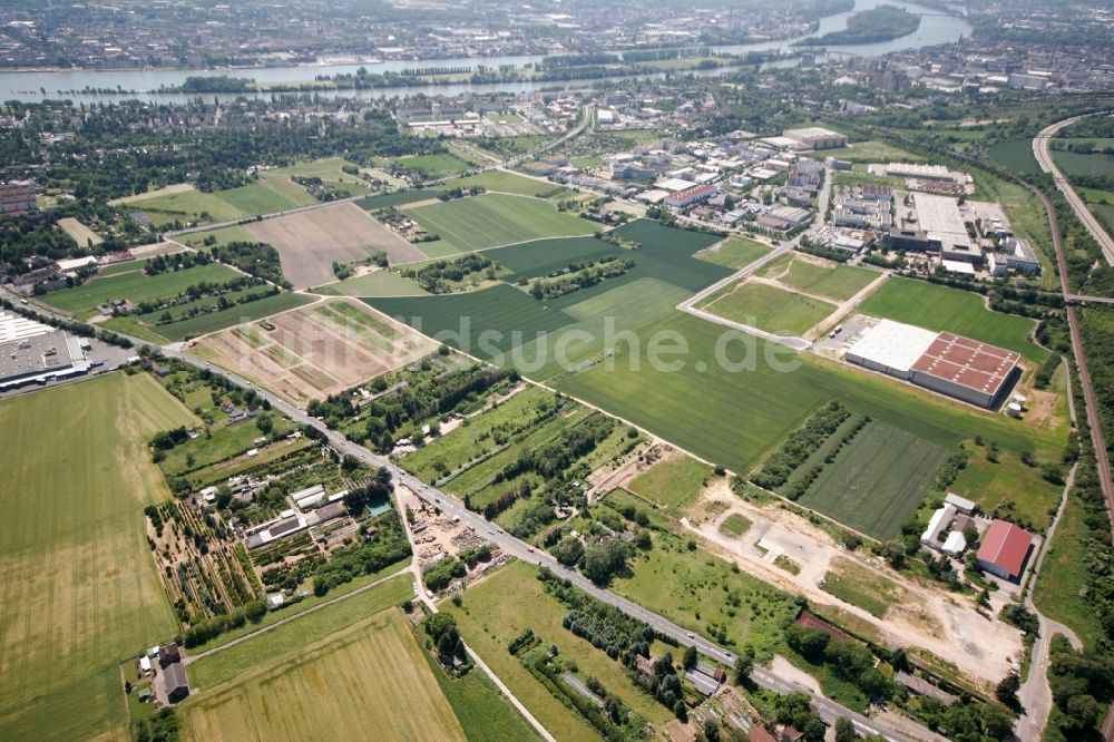 Wiesbaden aus der Vogelperspektive: Stadtteil Mainz-Kastel am Ufer des Rhein in Wiesbaden im Bundesland Hessen