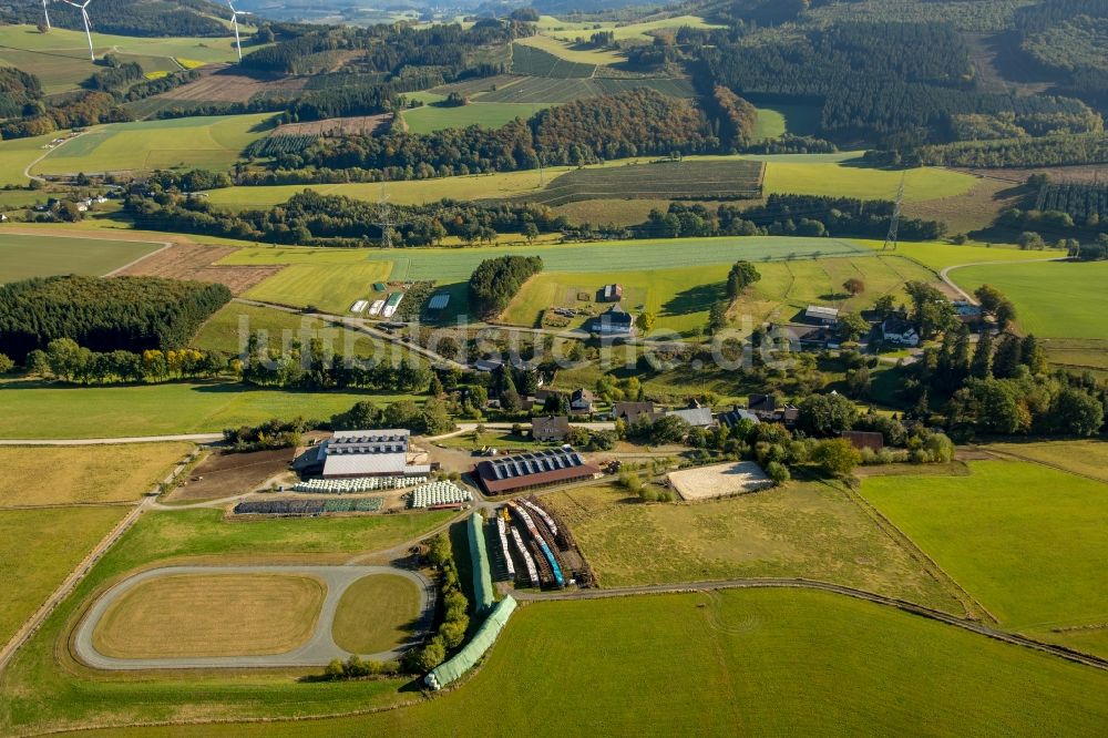 Meschede von oben - Stadtteil Mosebolle in Meschede im Bundesland Nordrhein-Westfalen