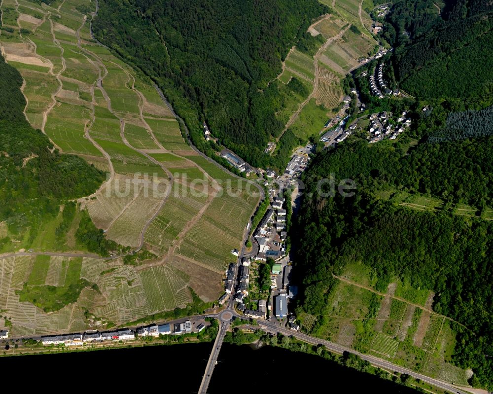 Zell (Mosel) Notenau von oben - Stadtteil Notenau am Ufer der Mosel in Zell (Mosel) im Bundesland Rheinland-Pfalz