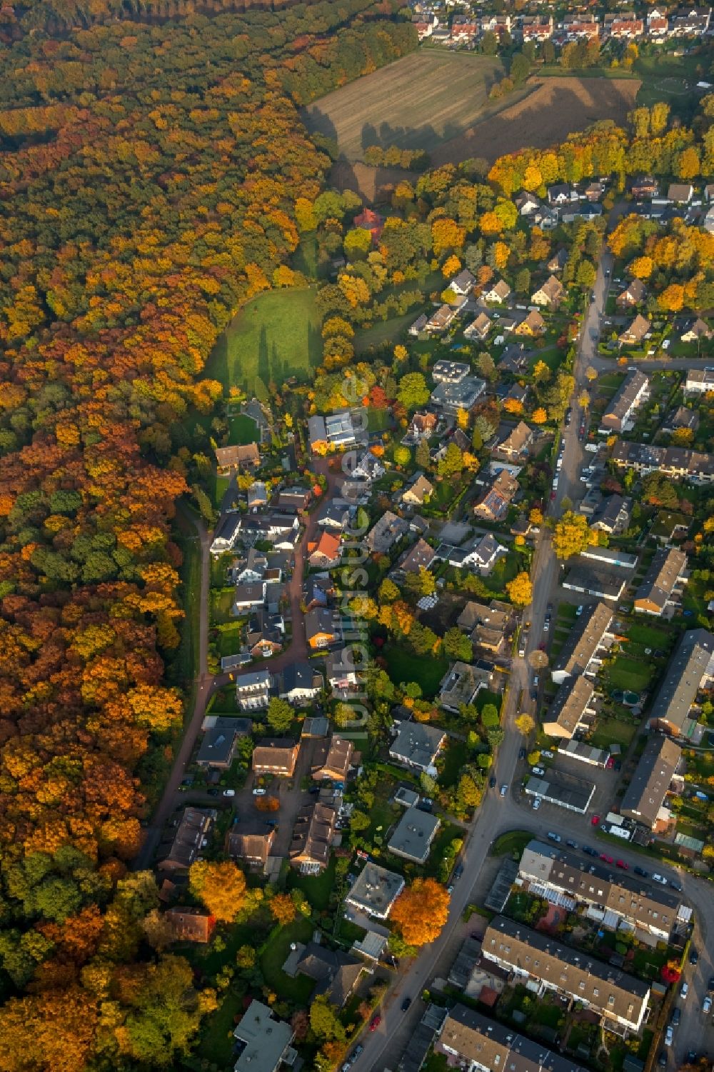 Gladbeck aus der Vogelperspektive: Stadtteilansicht des Baugebietes Bloomshof-West und der Gustav-Stresemann-Straße im herbstlichen Gladbeck im Bundesland Nordrhein-Westfalen