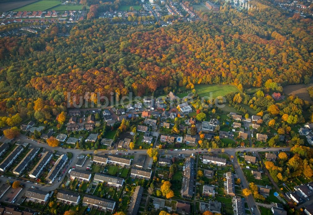 Gladbeck von oben - Stadtteilansicht des Baugebietes Bloomshof-West im Verlauf der Enfieldstraße im herbstlichen Gladbeck im Bundesland Nordrhein-Westfalen