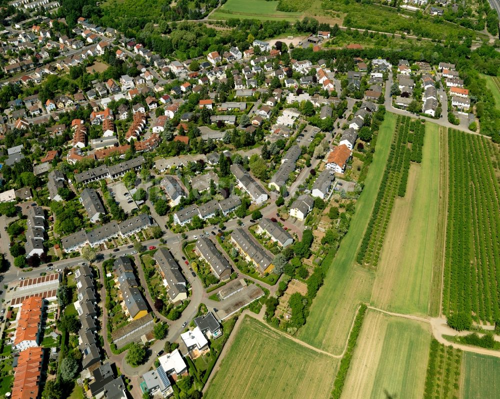 Mainz von oben - Stadtteilansicht von Finthen in Mainz im Bundesland Rheinland-Pfalz