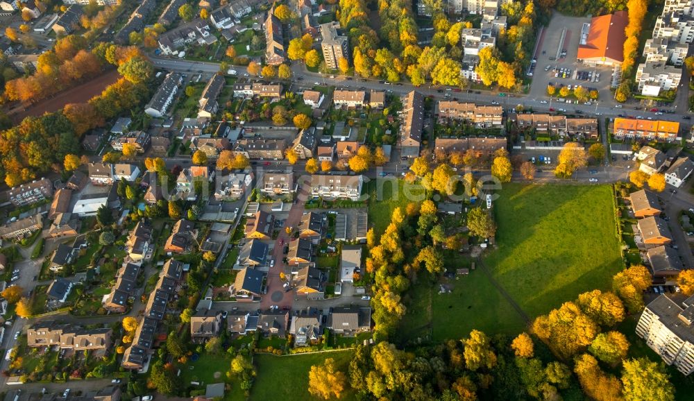 Gladbeck von oben - Stadtteilansicht des herbstlichen Stadtteils Zweckel entlang der Winkelstraße und des Scheidewegs in Gladbeck im Bundesland Nordrhein-Westfalen