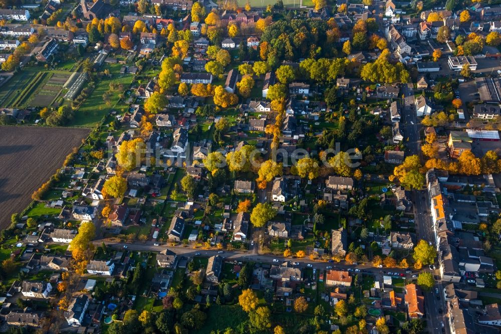 Gladbeck aus der Vogelperspektive: Stadtteilansicht der herbstlichen Umgebung der Kampstraße im Westen von Gladbeck im Bundesland Nordrhein-Westfalen