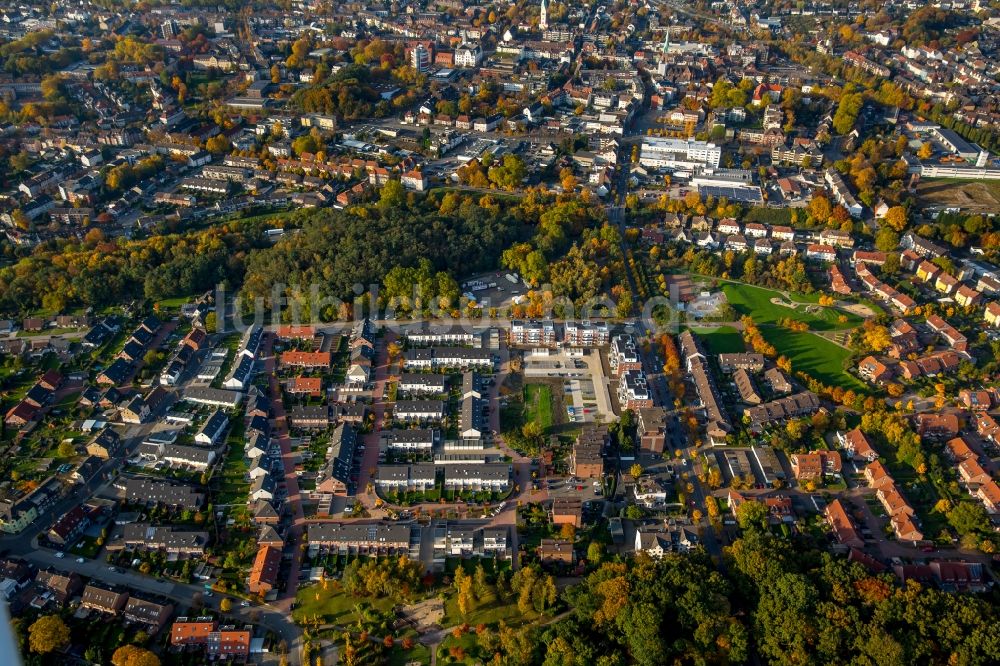 Gladbeck von oben - Stadtteilansicht des herbstlichen Wohngebietes an der Bergmannstraße und Wilhelm-Olejnik-Straße in Gladbeck im Bundesland Nordrhein-Westfalen