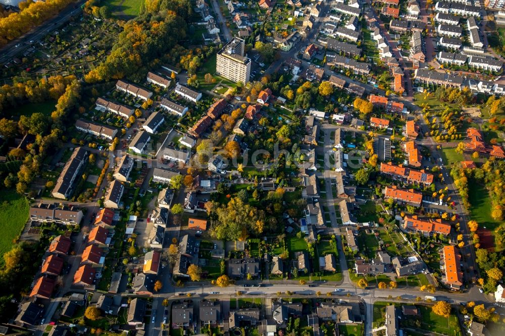 Luftaufnahme Gladbeck - Stadtteilansicht eines herbstlichen Wohngebietes an der Steinstraße in Gladbeck im Bundesland Nordrhein-Westfalen