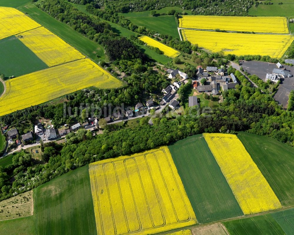 Polch von oben - Stadtteilansicht von Nettesürsch von Polch im Bundesland Rheinland-Pfalz