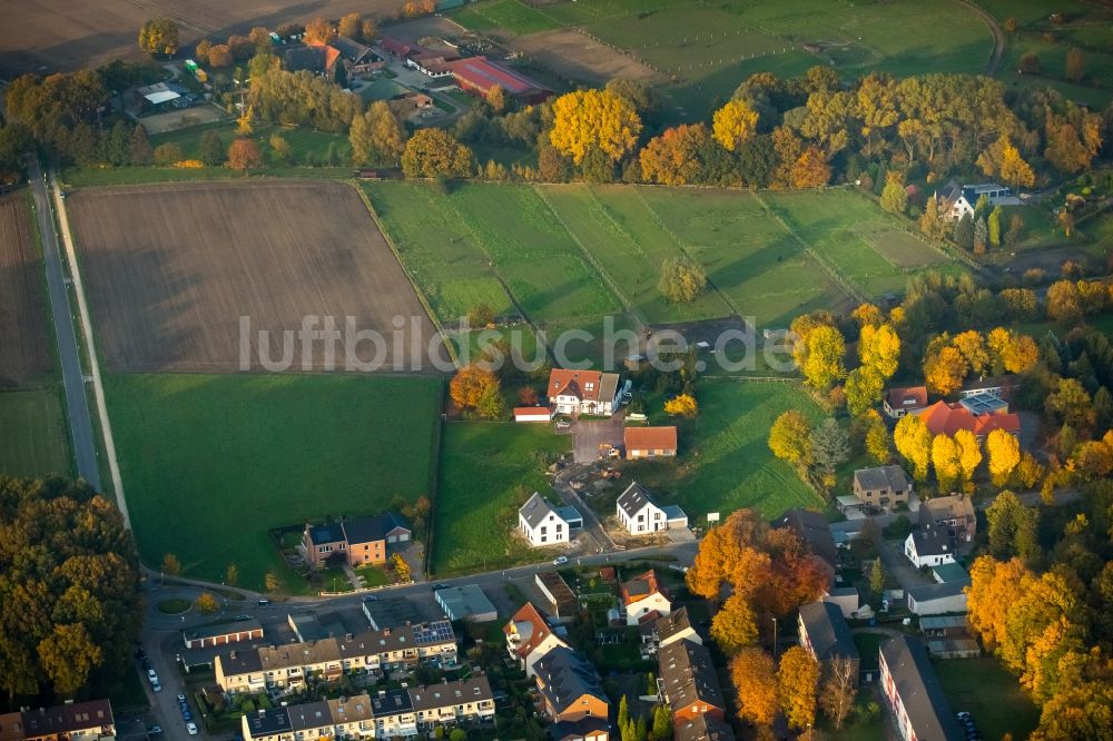 Luftaufnahme Gladbeck - Stadtteilansicht des Nordens des herbstlichen Stadtteils Zweckel am Baugebiet Feldhauser Straße und Schulstraße in Gladbeck im Bundesland Nordrhein-Westfalen