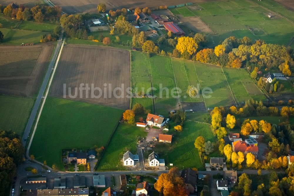 Gladbeck aus der Vogelperspektive: Stadtteilansicht des Nordens des herbstlichen Stadtteils Zweckel am Baugebiet Feldhauser Straße und Schulstraße in Gladbeck im Bundesland Nordrhein-Westfalen