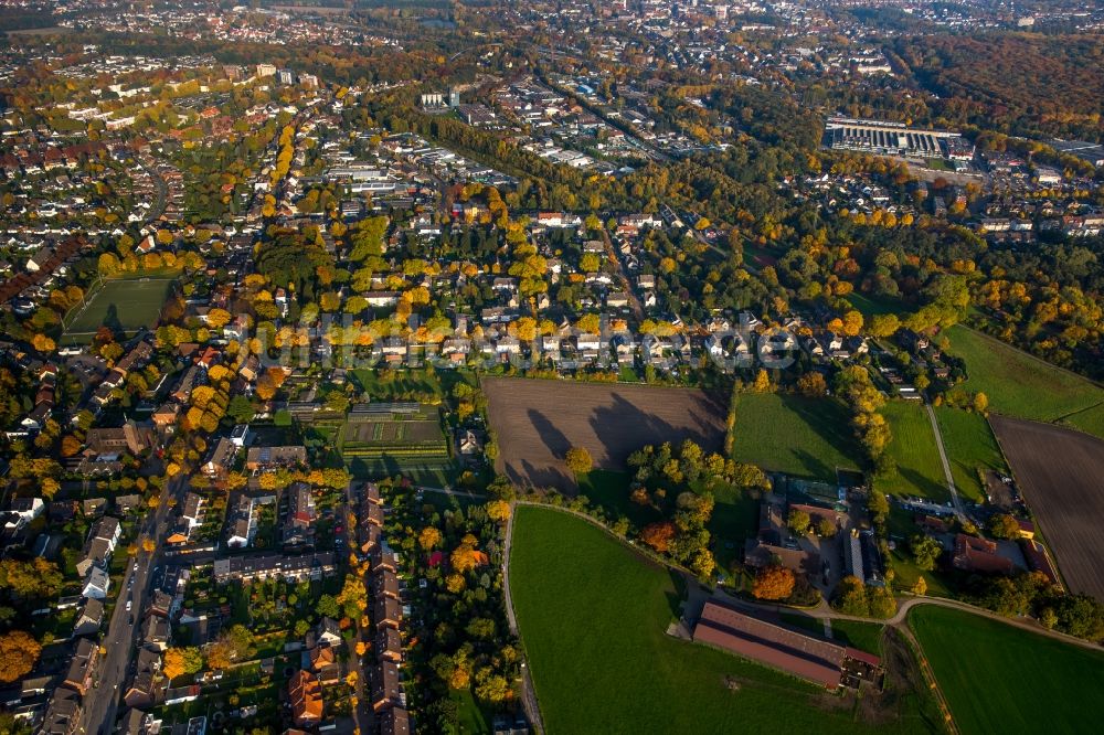 Gladbeck von oben - Stadtteilansicht des Wohngebietes und Stadtrandes an der Hegestraße im Westen des herbstlichen Gladbeck im Bundesland Nordrhein-Westfalen