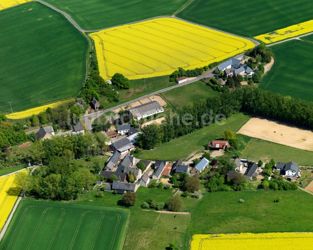 Luftbild Münstermaifeld - Stadtteilansicht des Wohnplatzes Sevenich in Münstermaifeld im Bundesland Rheinland-Pfalz