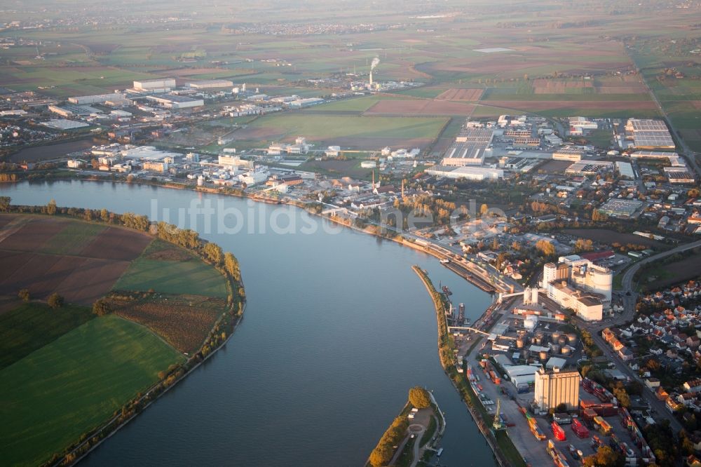 Gernsheim aus der Vogelperspektive: Stadtzentrum im Innenstadtbereich am Ufer des Flußverlaufes des Rhein in Gernsheim im Bundesland Hessen, Deutschland