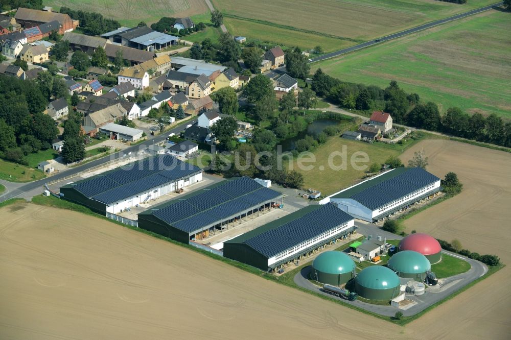 Ochelmitz von oben - Stallanlagen eines landwirtschaftlichen Betriebes mit Biogasanlage im Süden von Ochelmitz im Bundesland Sachsen