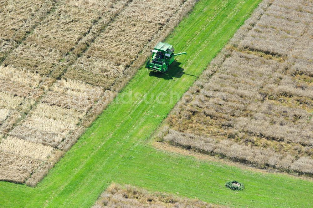 Walkendorf aus der Vogelperspektive: Stationäres Versuchsfeld auf dem landwirtschaftlichen Gut Walkendorf