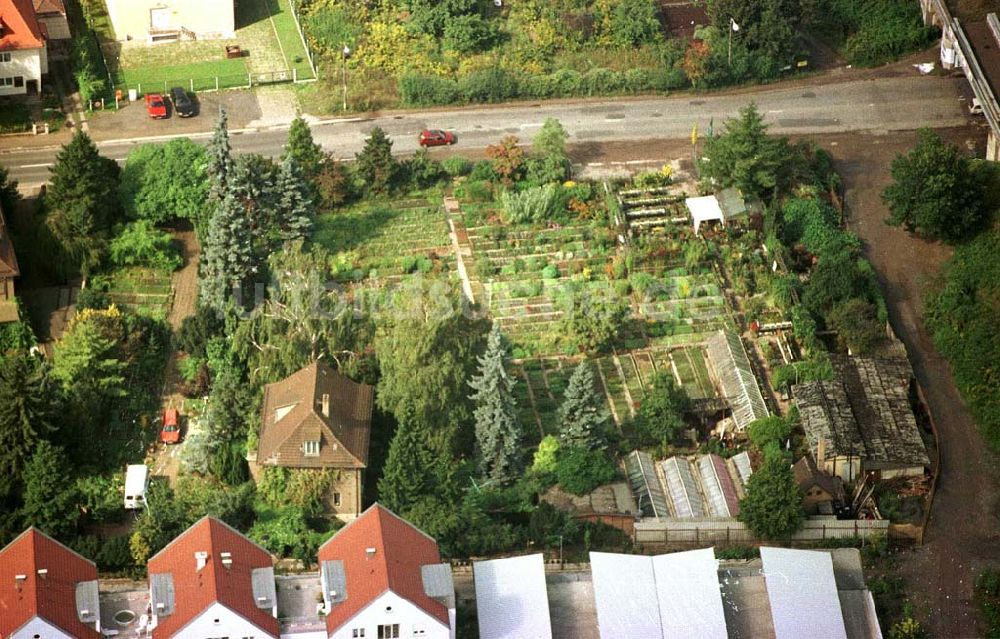 Dresden aus der Vogelperspektive: Staudengärtnerei Jentsch