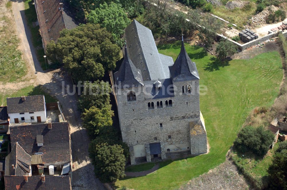 Frose aus der Vogelperspektive: Stiftskirche in Frose