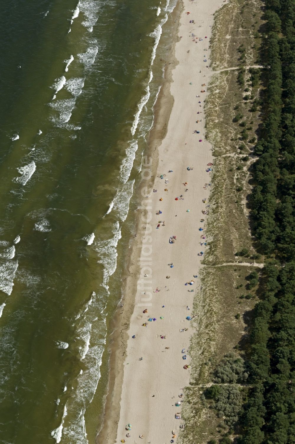 Zinnowitz aus der Vogelperspektive: Strand- Abschnitt des beliebten Ferien- und Urlaubsgebietes an der Ostsee- Küste der Insel Usedom in Zinnowitz im Bundesland Mecklenburg-Vorpommern