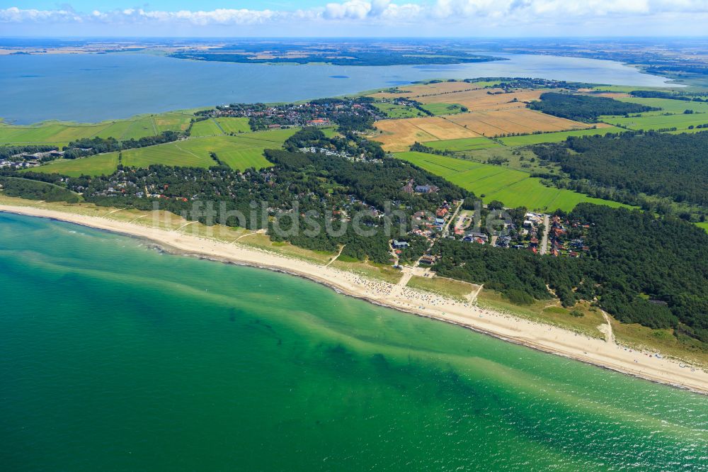 Luftaufnahme Ostseebad Dierhagen - Strandkorb- Reihen am Sand- Strand im Küstenbereich der Ostsee in Ostseebad Dierhagen im Bundesland Mecklenburg-Vorpommern, Deutschland