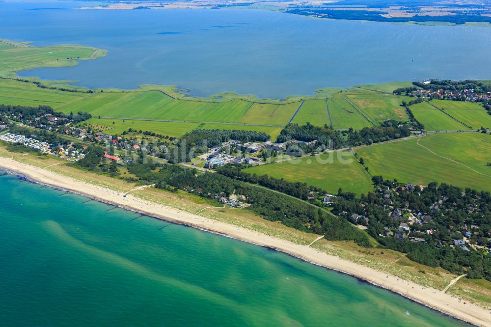 Ostseebad Dierhagen von oben - Strandkorb- Reihen am Sand- Strand im Küstenbereich der Ostsee in Ostseebad Dierhagen im Bundesland Mecklenburg-Vorpommern, Deutschland