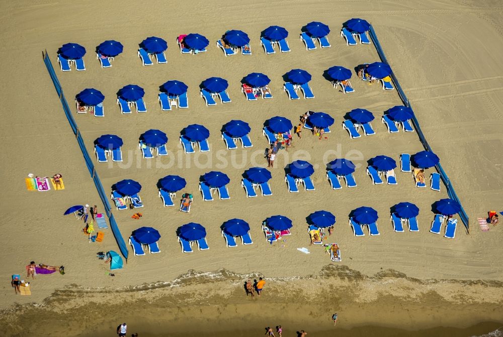 Canet-en-Roussillon aus der Vogelperspektive: Strandliegen- Plätze und Sonnenschirmlandschaft am Sandstrand von Canet-en-Roussillon an der Mittelmeerküste in Frankreich