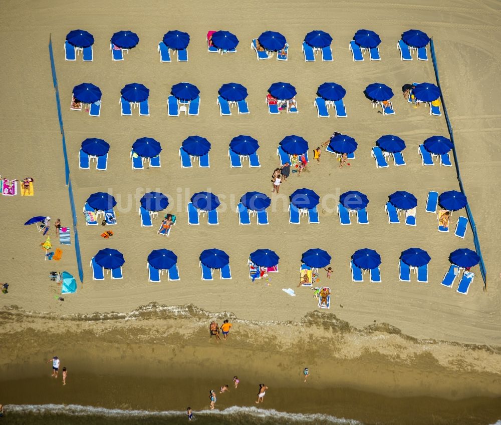 Luftbild Canet-en-Roussillon - Strandliegen- Plätze und Sonnenschirmlandschaft am Sandstrand von Canet-en-Roussillon an der Mittelmeerküste in Frankreich