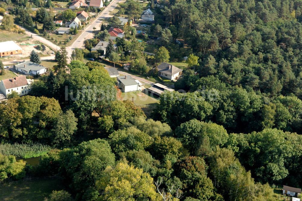 Zerben von oben - Straßenbrücke über den Zerbener Altarm