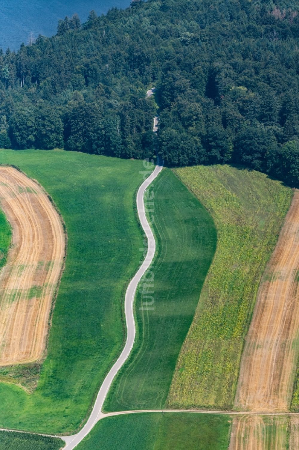 Luftaufnahme Fronreute - Straßenführung in Fronreute im Bundesland Baden-Württemberg, Deutschland