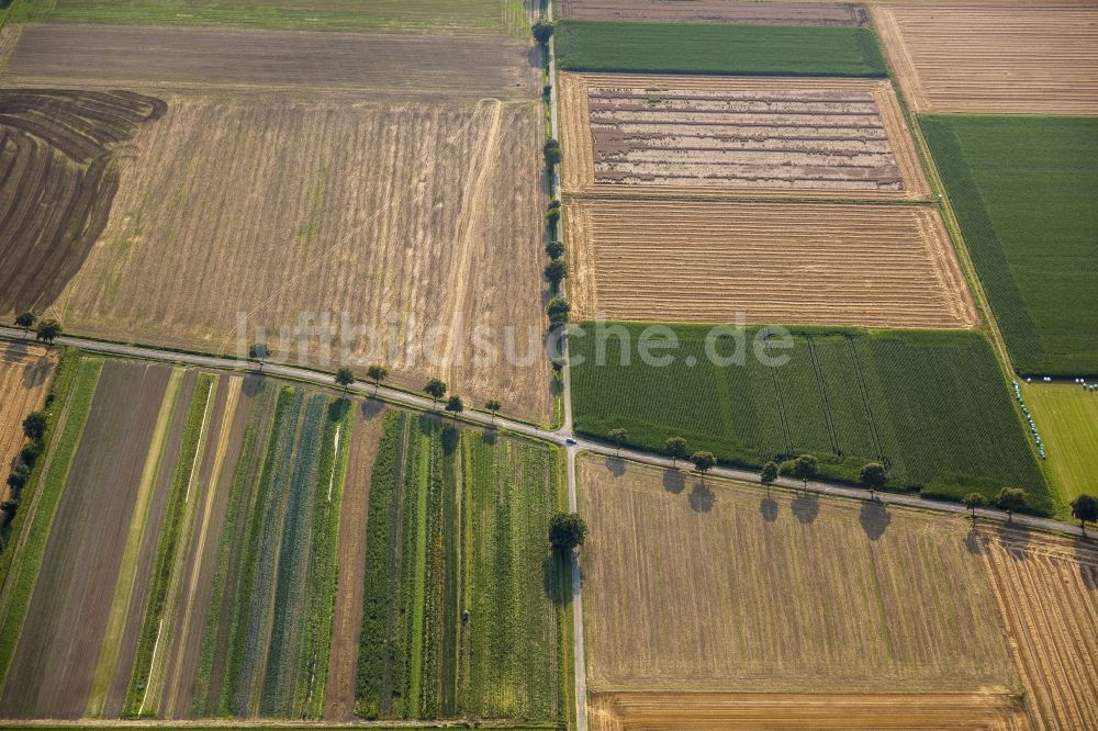 Sönnern von oben - Straßenkreuzung in Sönnern im Bundesland Nordrhein-Westfalen