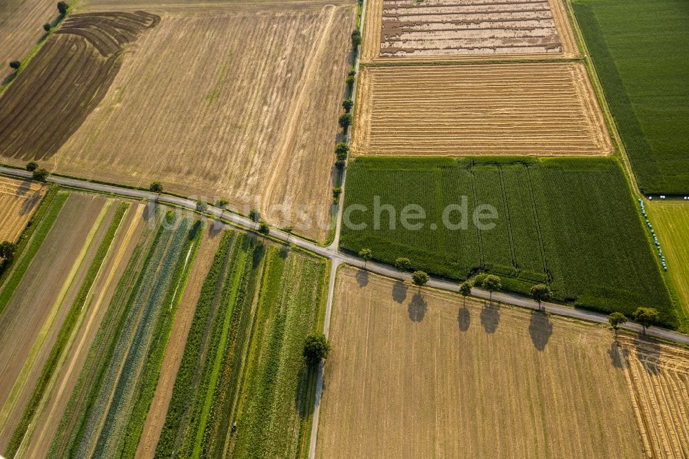 Luftbild Sönnern - Straßenkreuzung in Sönnern im Bundesland Nordrhein-Westfalen