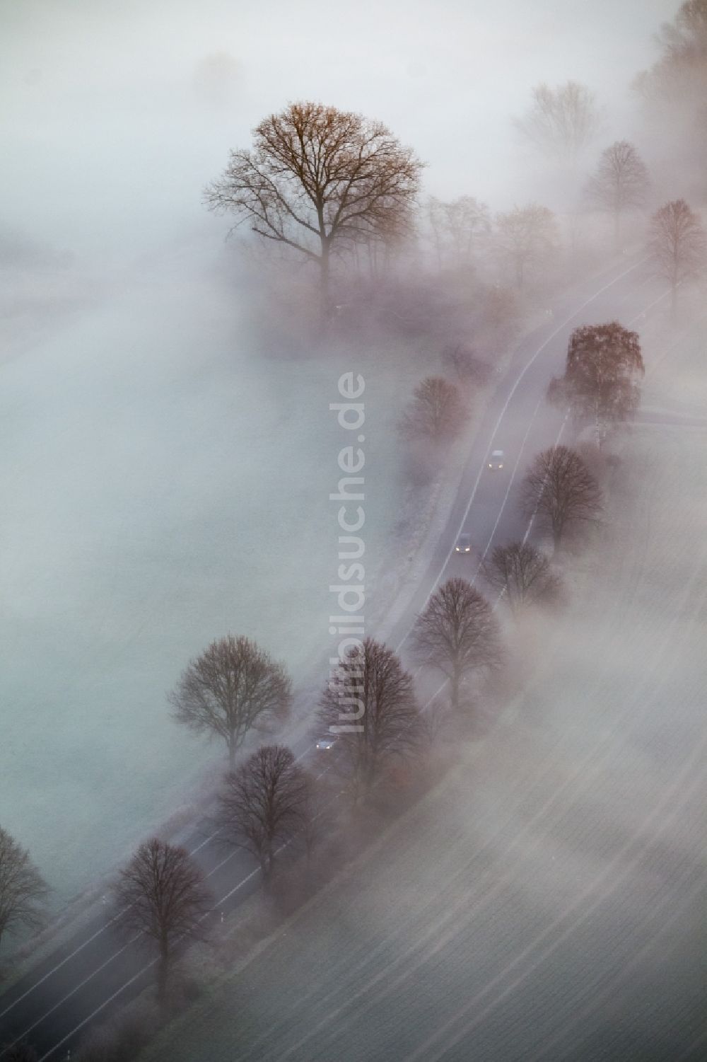 Hamm von oben - Straßenverkehr bei Nebel entlang der Wiesen der Lippeauen beim Sonnenaufgang an einer Landstraße am Stadtrand von Hamm Nordrhein-Westfalen